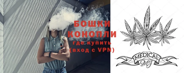 прущий лед Новозыбков