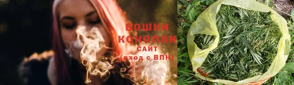 индика Нея