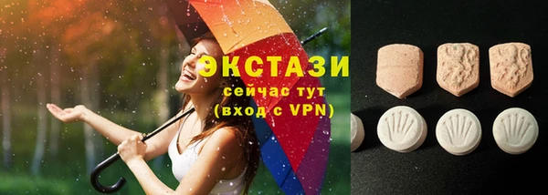 индика Нея