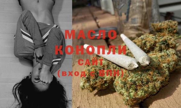 индика Нея