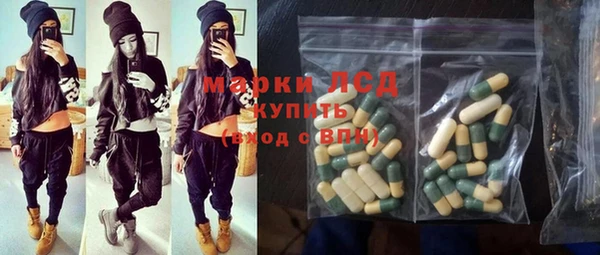 индика Нея