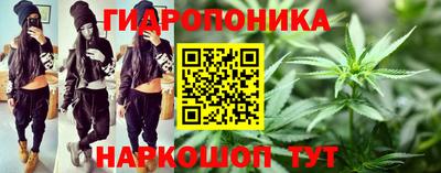 шишки Волжск