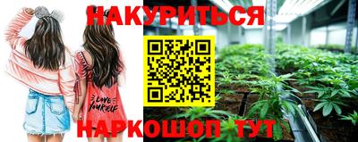 гашик Волжский
