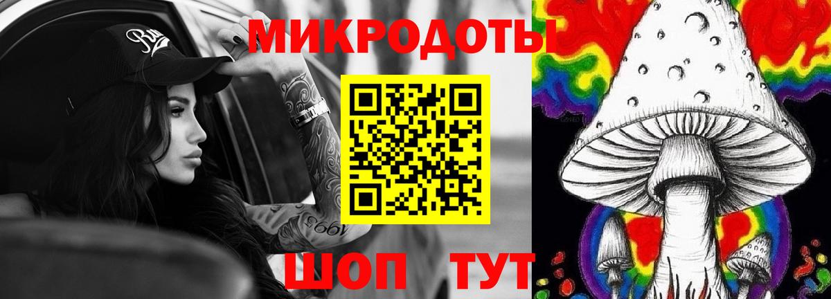 Псилоцибиновые грибы прущие грибы Тосно