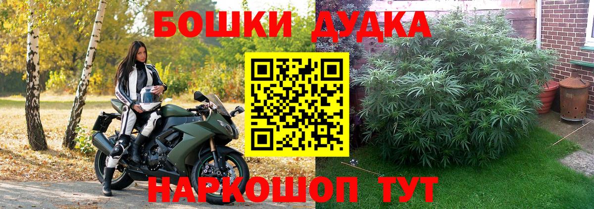 Конопля SATIVA & INDICA Тосно